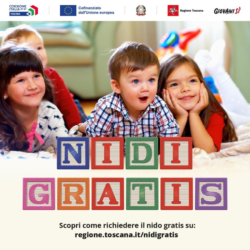 NIDI GRATIS 2024/2025